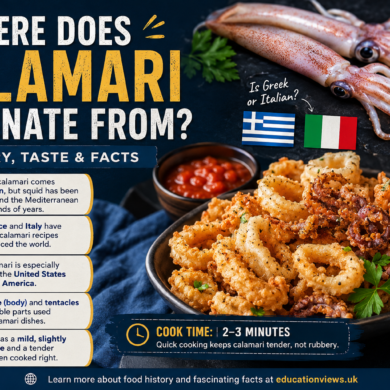 Where Does Calamari Originate From? History, Taste & Facts