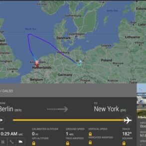 delta dl93 diversion