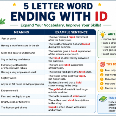 5 Letter Word Ending With ID: Easy List, Meanings, and Learning Tips