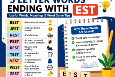 5 Letter Words Ending With EST: Easy Word Lists & Word Game Tips