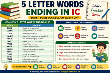 5 Letter Words Ending in IC: A Complete Learning Guide for Students