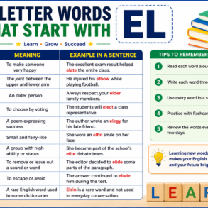 5 Letter Words That Start With EL: Complete List, Meanings, and Learning Tips