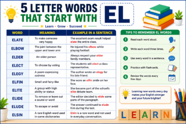 5 Letter Words That Start With EL: Complete List, Meanings, and Learning Tips