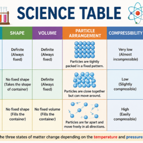 science table