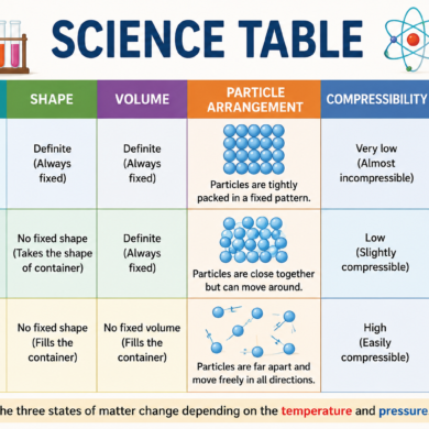 science table