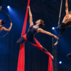 aerialists