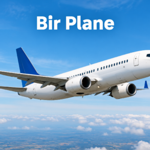 bir plane