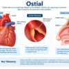 ostial