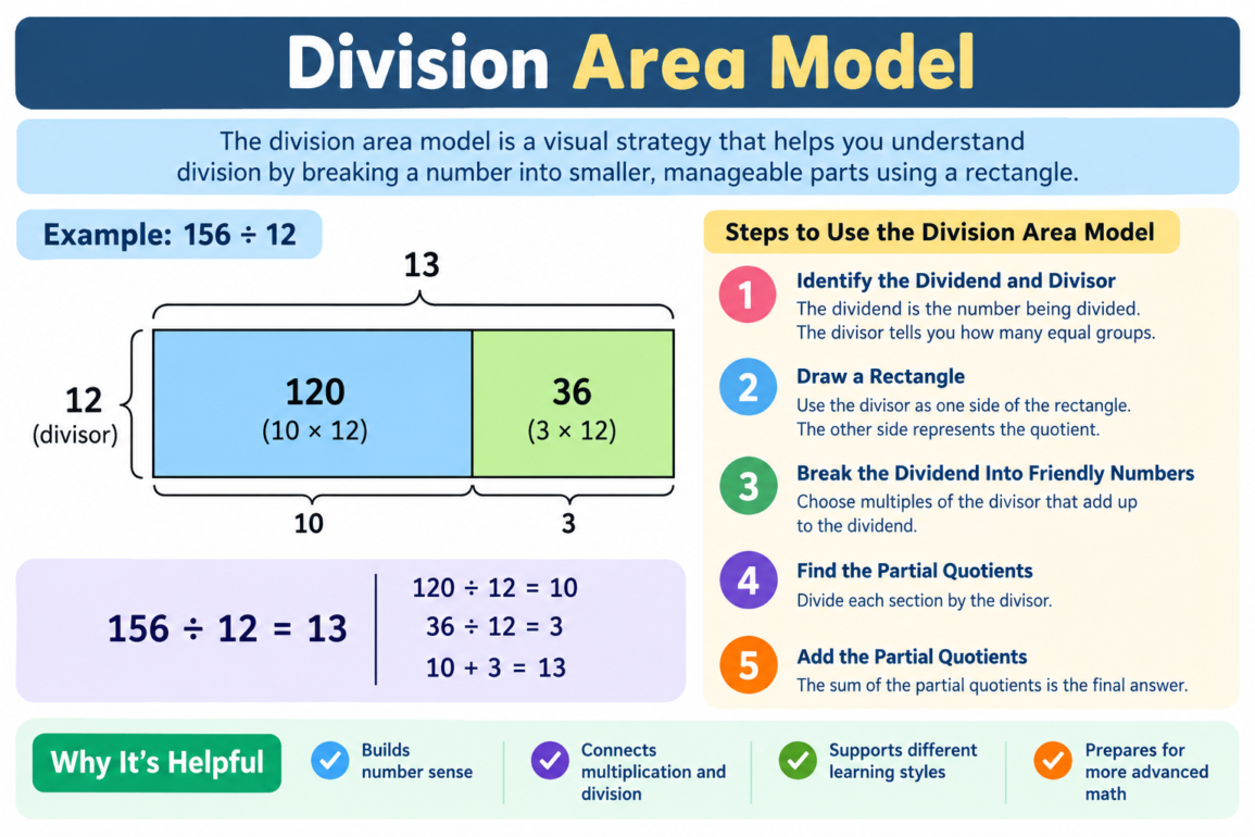 division area model