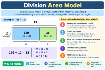 division area model
